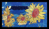 Sunflowers,-1998.jpg (331444 bytes)