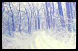 Noble's-Mill-Road,-winter.jpg (70086 bytes)